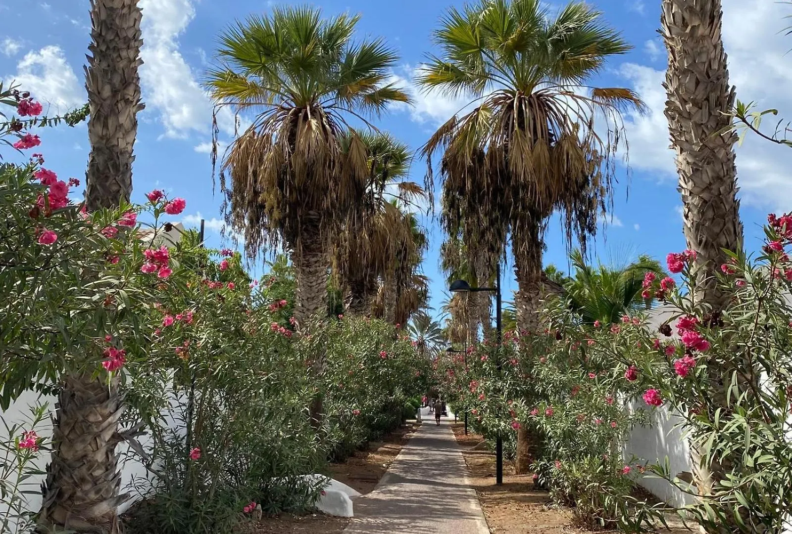 Guest house The Best House Tenerife Habitaciones Compartidas Costa Adeje
